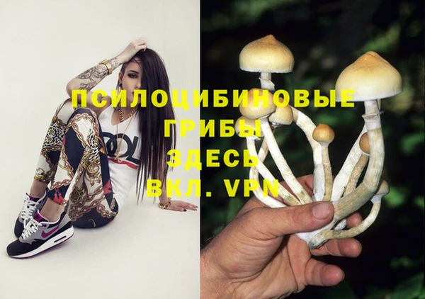 мет Переславль-Залесский