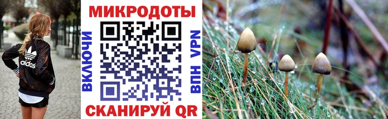 Псилоцибиновые грибы мухоморы Щёкино